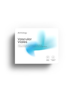 vascular-viales-vista-superior-web.webp