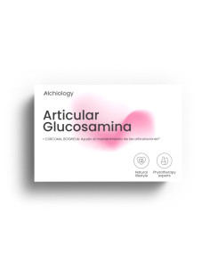 articular-glucosamina-vista-superior-web.webp