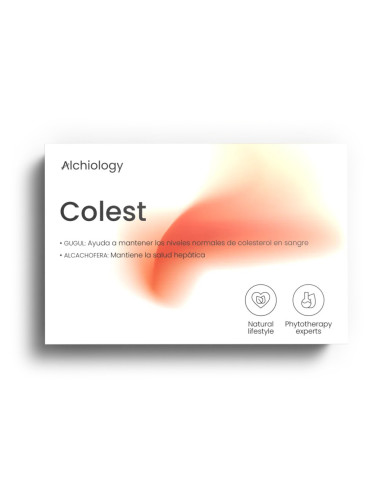 colest-vista-superior-web.webp