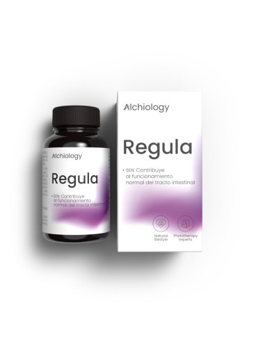 regula-vista-superior-web.webp
