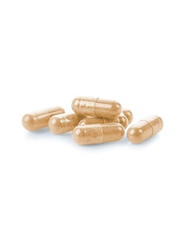 JALEA-REAL-1000-MG-60-CAP.jpg