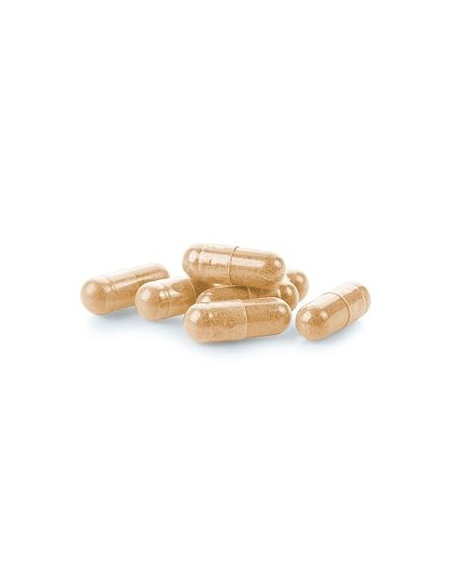 JALEA-REAL-1000-MG-60-CAP.jpg