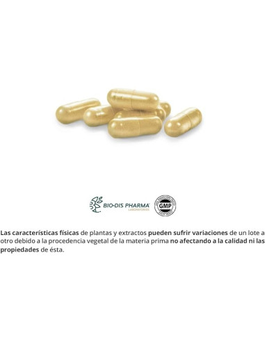CARDO-MARIANO-COMPLEX-9725-MG-60-CAP-NATURE-ESSENT.jpg