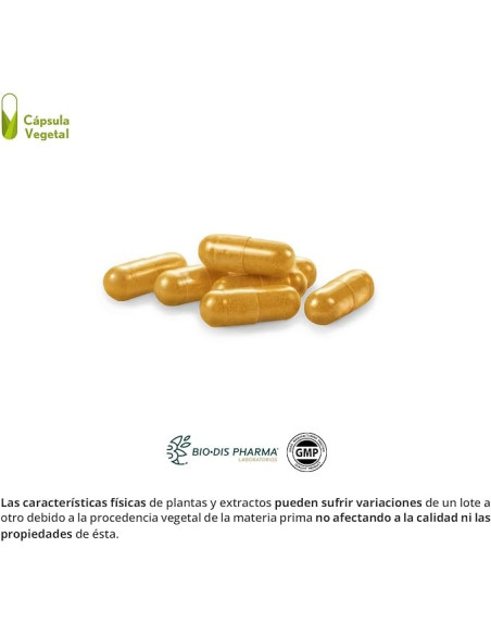 CURCUMA-COMPLEX-10000-MG-JENGIBRE-PIMIENTA-60-CAP.jpg