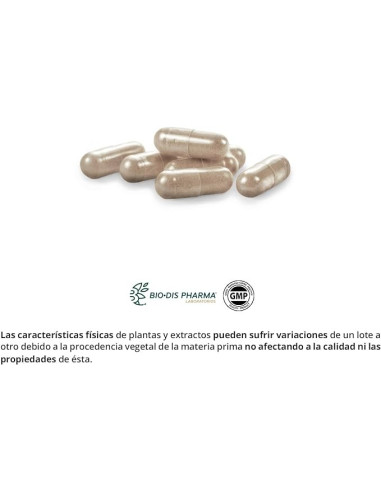 ALCACHOFA-COMPLEX-2300-MG-60-CAP-NATURE-ESSENTIAL.jpg