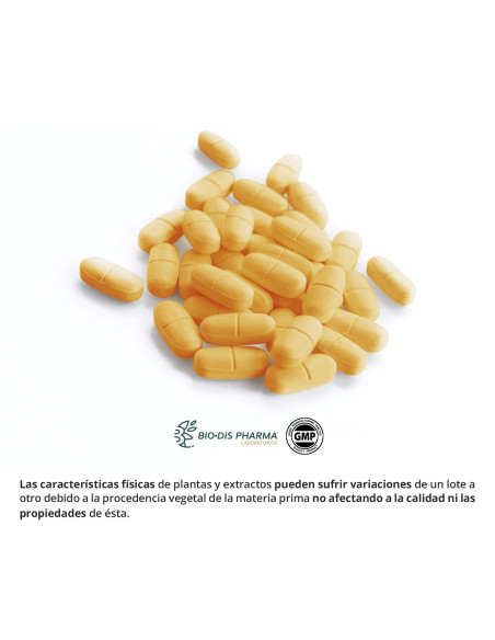 CONFORTFLEX-1200-MG-60-COMP.jpg