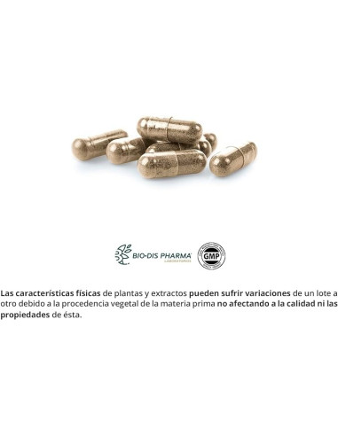EVACUAPLUS-KIWI-COMPLEX-400-MG-30-CAP.jpg