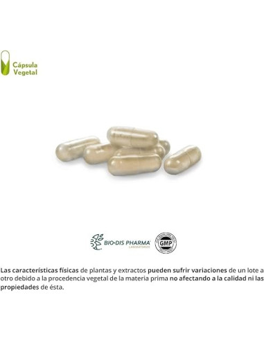 EVACUASTOP-COMPLEX-500-MG-30-CAP.jpg
