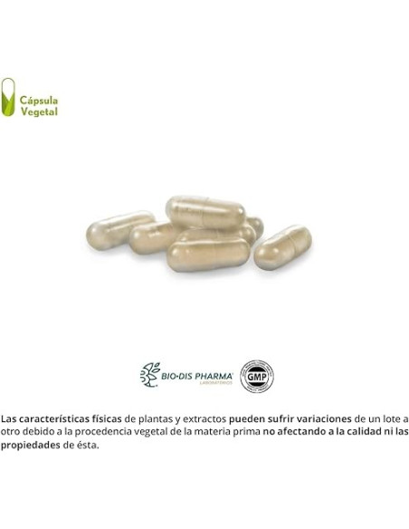 EVACUASTOP-COMPLEX-500-MG-30-CAP.jpg