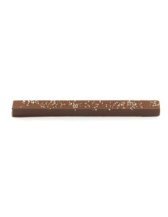 TURRON-SALTED-CARAMEL-100GR-BLANXART.jpg