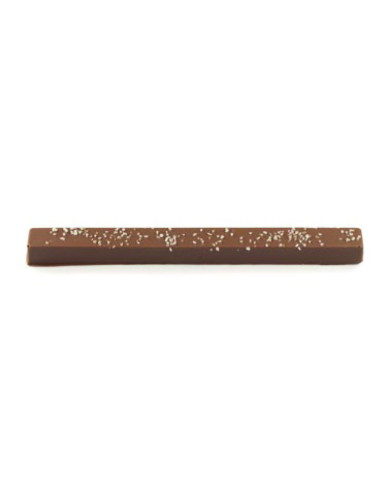 TURRON-SALTED-CARAMEL-100GR-BLANXART.jpg
