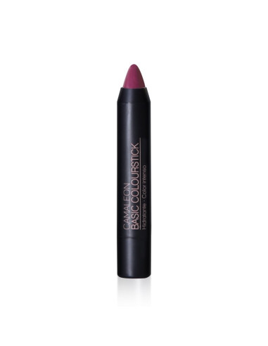 CAMALEON-BASIC-COLOURSTICK-BERENJENA-08.jpg