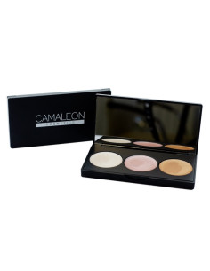 CAMALEON-PALETA-ILUMINADORES.jpg