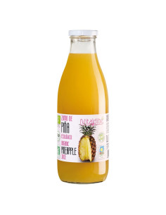 ZUMO-PIÑA-ECO-200-ML.jpg