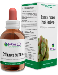 PSC-ECHINACEA-PURPUREA-15-ML.jpg