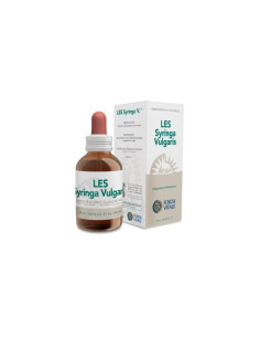 LES-SYRINGA-VULGARIS-50-ML.jpg