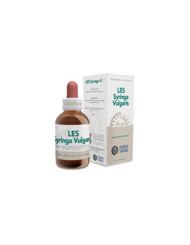 LES-SYRINGA-VULGARIS-50-ML.jpg