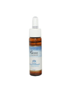 FM-GORSE-10-ML--(AULAGA).jpg