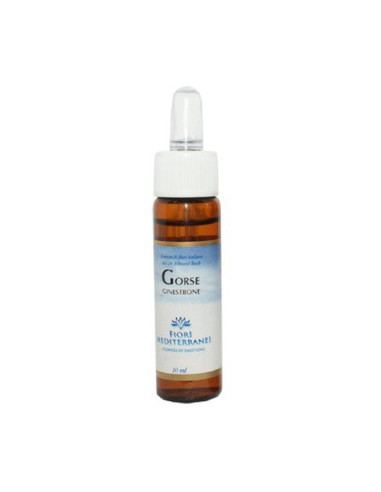 FM-GORSE-10-ML--(AULAGA).jpg