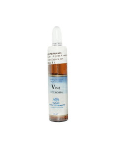 FM-32-VINE-(VID)-10-ML.jpg