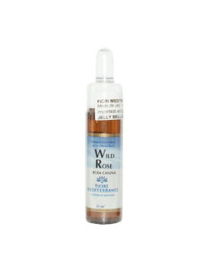 FM-37-WILD-ROSE-(ROSA-SILVESTRE)-10-ML.jpg