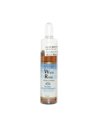 FM-37-WILD-ROSE-(ROSA-SILVESTRE)-10-ML.jpg