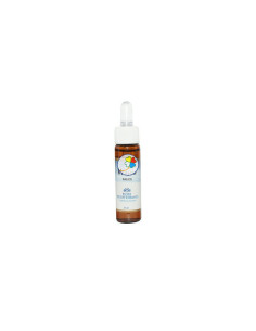 FM-38-WILLOW-(SAUCE)10-ML.jpg