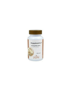 MEGAPLEUROTUS-C-(CHAMPIÑON-DE-OSTRA)-60-CAP.jpg