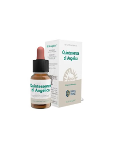 QE-ANGELICA-10-ML.jpg