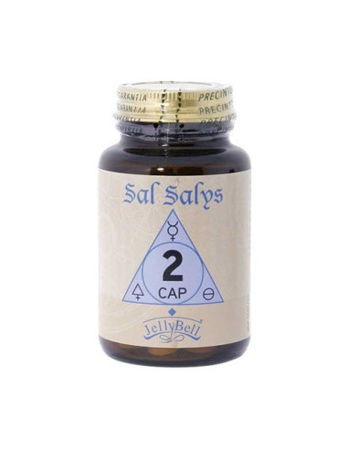 SAL-SALYS-2-CAP-90-COMP.jpg
