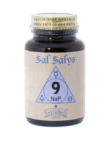 SAL-SALYS-9-NAP-90-COMP.jpg