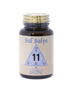 SAL-SALYS-11-SI-90-COMP.jpg