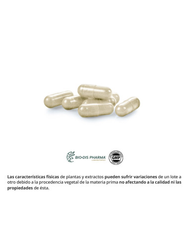 ALCACHOFA-COLA-CABALLO-300-MG-EXT-SECO-60-CAP-OB.jpg