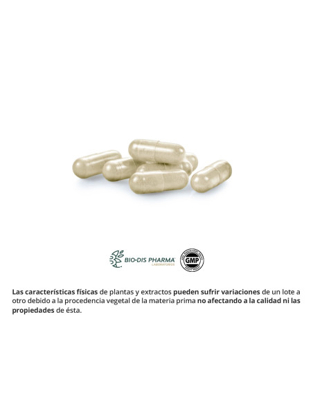 ALCACHOFA-COLA-CABALLO-300-MG-EXT-SECO-60-CAP-OB.jpg