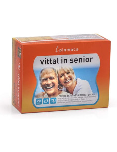 JALEA-REAL-VITTAL-IN-SENIOR-3-EDAD-20-VIALES-10-ML.jpg 2