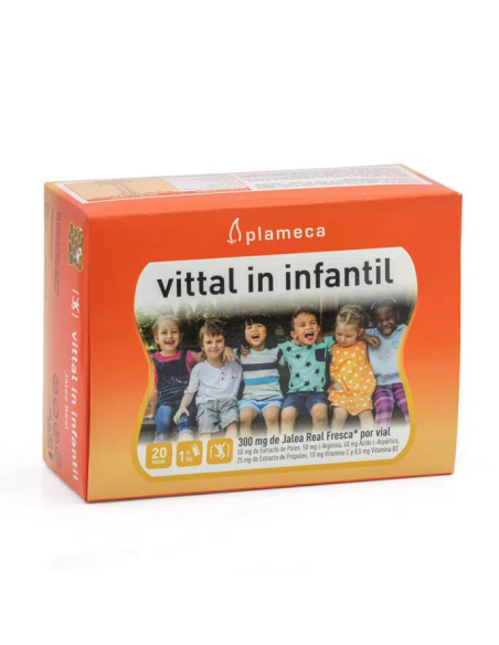 JALEA-REAL-VITTAL-IN-INFANTIL-20-VIALES-10-ML.jpg