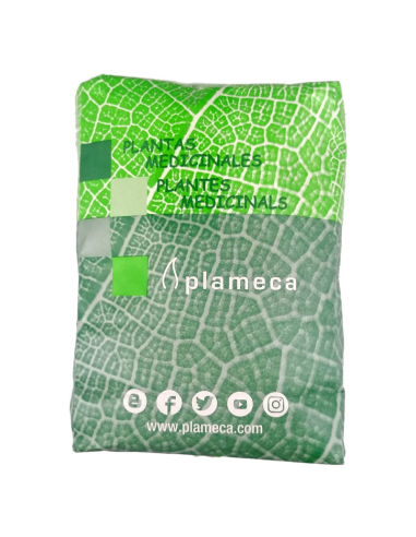 CARDO-MARIANO-PLANTA-TRITURADA-BOLSA-1-KG.jpg