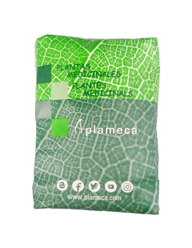 JENGIBRE-RAIZ-TRITURADO-BOLSA-1-KG.jpg