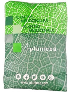 GINKGO-BILOBA-TRITURADO-BOLSA-1-KG.jpg