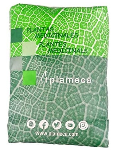 GINKGO-BILOBA-TRITURADO-BOLSA-1-KG.jpg