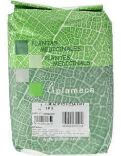 EUCALIPTO-HOJA-CORTE-GRANDE-BOLSA-1-KG.jpg
