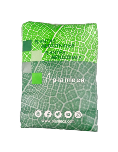 ROOIBOS-BOLSA-1-KG.jpg