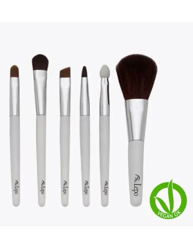 SET-6-BROCHAS-PROFESIONALES.jpg