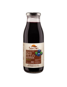 ZUMO-ARANDANOS-S/G-ECO-330-ML.jpg