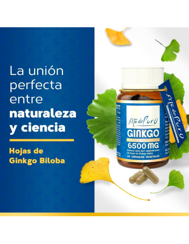 EP-GINKGO-6500-mg-40-caps.jpg