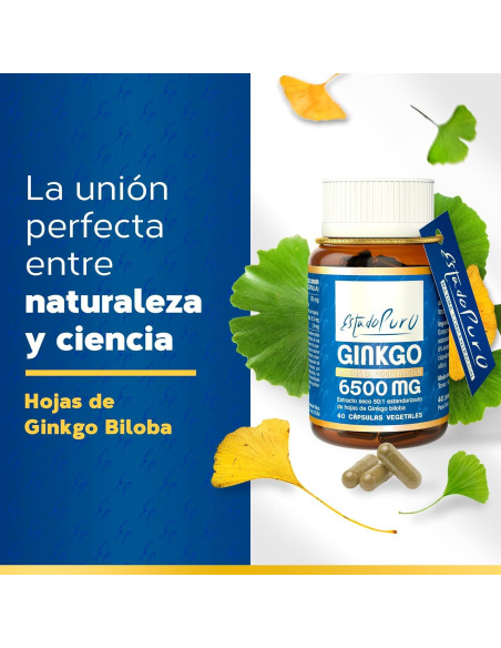 EP-GINKGO-6500-mg-40-caps.jpg