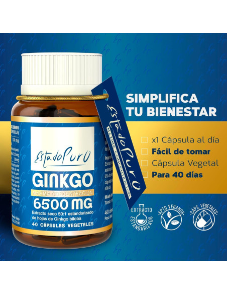 EP-GINKGO-6500-mg-40-caps.jpg