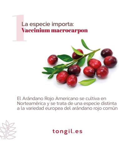EP-CRANBERRY-PLUS-120-PACS-40-caps.jpg