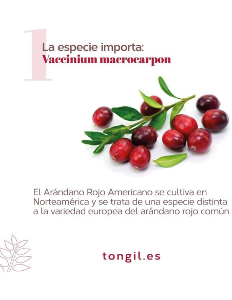 EP-CRANBERRY-PLUS-120-PACS-40-caps.jpg