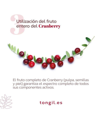EP-CRANBERRY-MEGA-150-PACS-40-caps.jpg